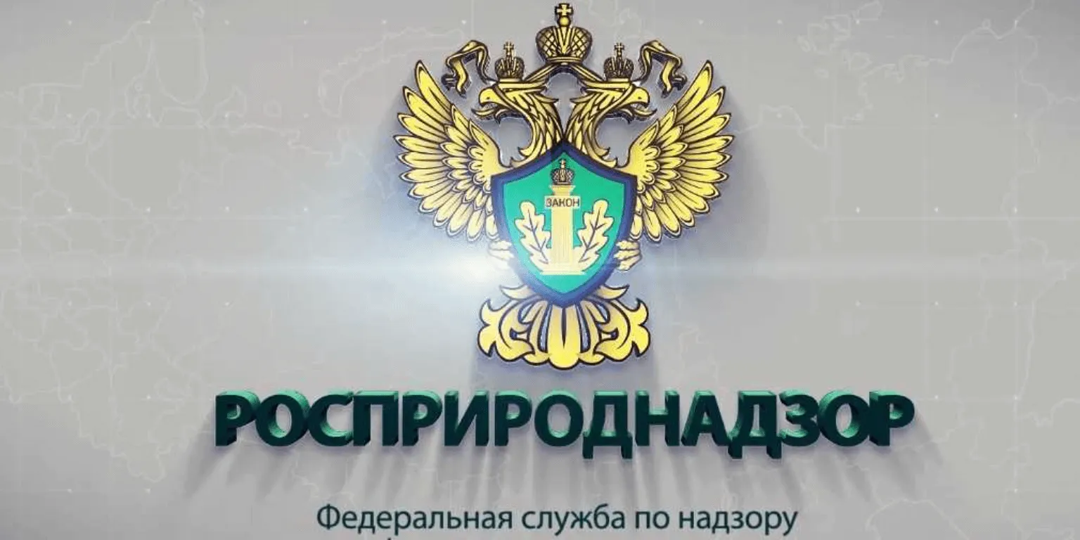 Управление надзора по краснодарскому краю. Федеральная служба по надзору в сфере природопользования. Росприроднадзор логотип. Экологический надзор эмблема. Федеральная служба по надзору в сфере природопользования картинка.